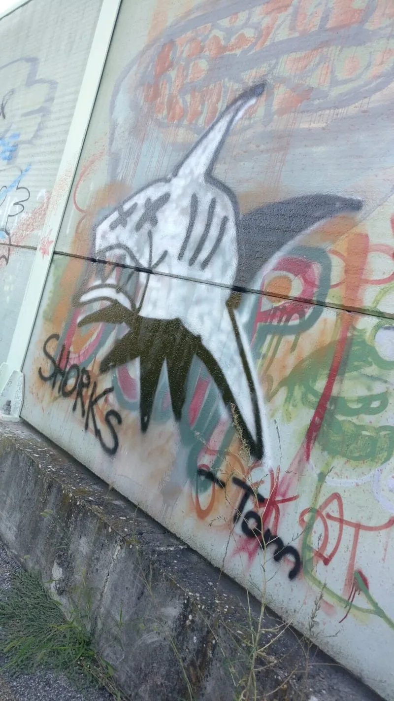 A shark outline and Stuffed Shark lettering sprayed in white on a concrete wall.