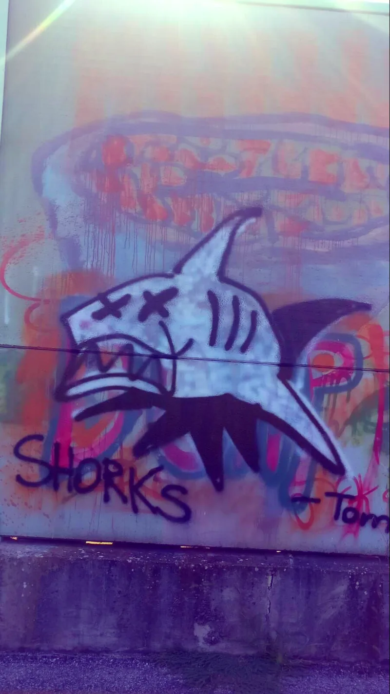 A shark drawing and the word SHARKS painted on a wall under purple light.