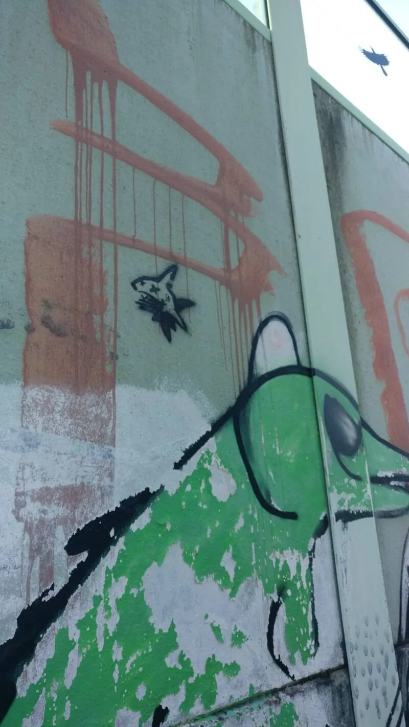 A shark sprayed in green outline on a light wall.